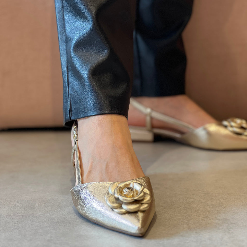 Sapatilhas Connie Sap Dourado